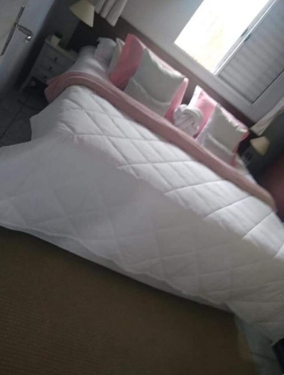 Chácara, 3 quartos, 1000 m² - Foto 2