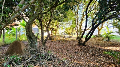 Loteamento e Condomínio, 539 m² - Foto 4