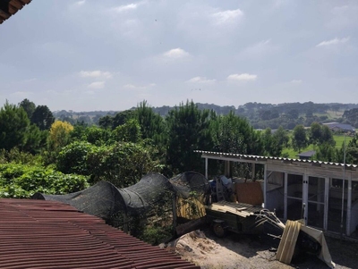 Chácara, 3 quartos, 7717 m² - Foto 3