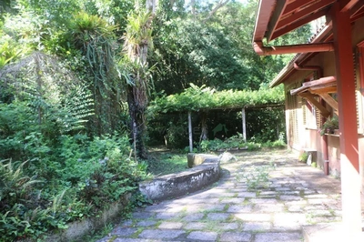 Sítio, 12 hectares - Foto 3