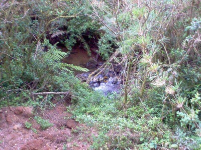 Terreno, 7 hectares - Foto 4