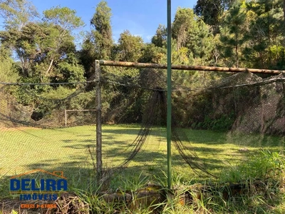 Terreno, 2 hectares - Foto 4
