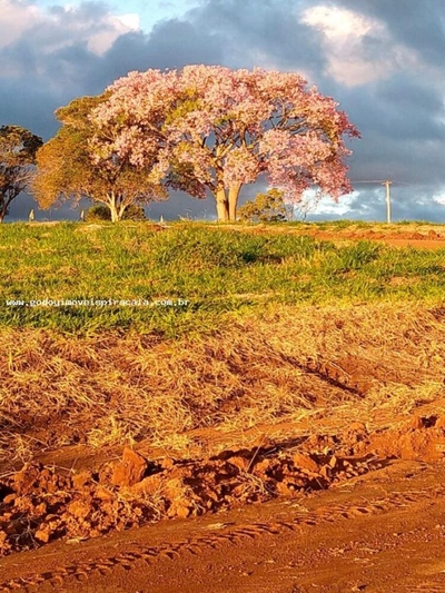 Terreno, 1000 m² - Foto 1