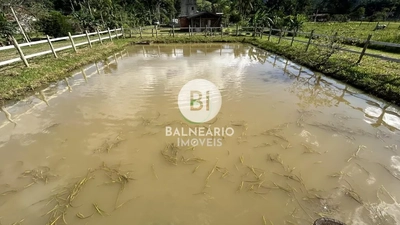 Sítio, 3 quartos, 5 m² - Foto 1