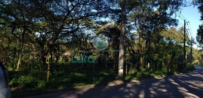 Prédio Inteiro - Foto 5