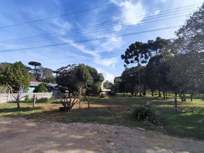 Terreno, 5600 m² - Foto 5