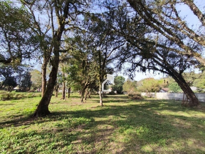 Terreno, 5600 m² - Foto 2