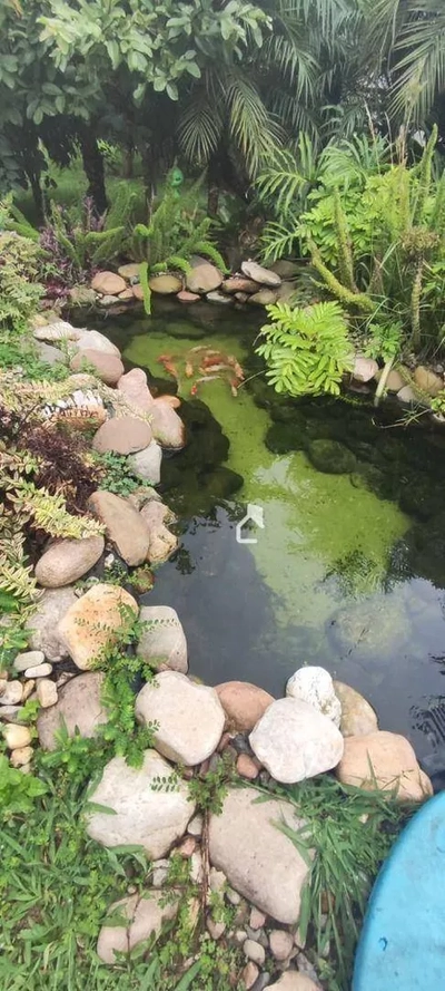 Casa, 5 quartos, 305 m² - Foto 1