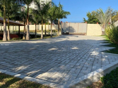 Chácara, 5000 m² - Foto 3