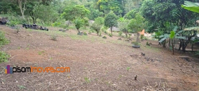 Terreno, 7900 m² - Foto 3