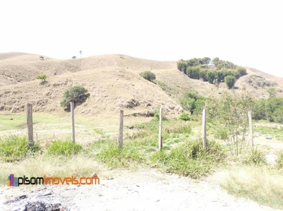 Terreno, 51 hectares - Foto 3