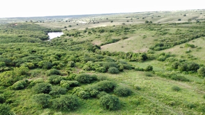 Fazenda-Sítio-Chácara, 72 hectares - Foto 4