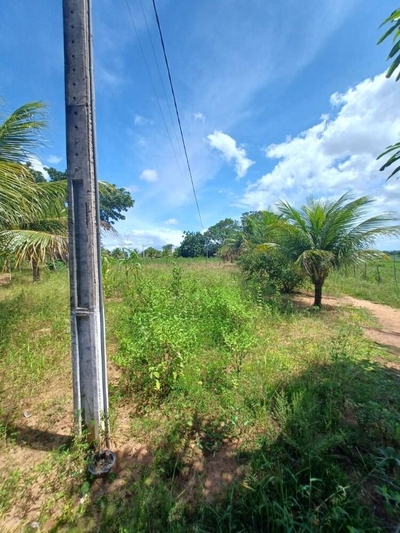 Sítio, 10 hectares - Foto 3