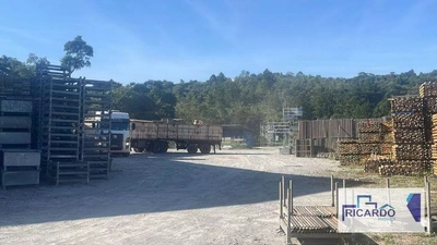 Depósito-Galpão, 1500 m² - Foto 3