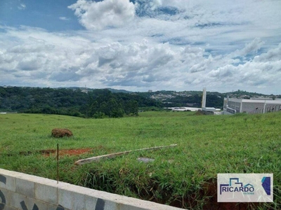 Terreno, 19 hectares - Foto 3