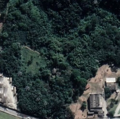 Terreno, 3 hectares - Foto 1