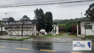 Terreno, 3 hectares - Foto 1