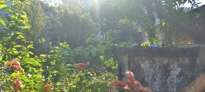 Terreno, 500 m² - Foto 4