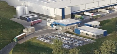 Depósito-Galpão, 5493 m² - Foto 4