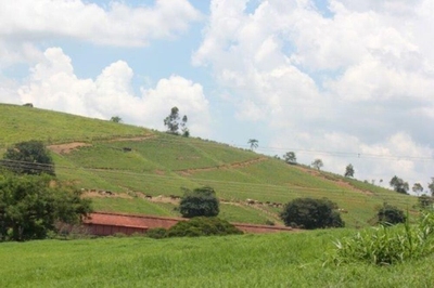 Fazenda-Sítio-Chácara, 44 hectares - Foto 2