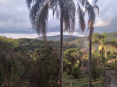 Chácara, 4 quartos, 4200 m² - Foto 4