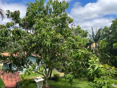 Chácara, 4 quartos, 5290 m² - Foto 3