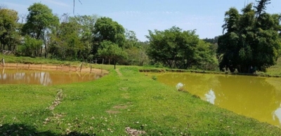 Fazenda-Sítio-Chácara, 51 hectares - Foto 4
