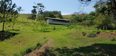 Fazenda-Sítio-Chácara, 51 hectares - Foto 5