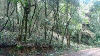 Terreno, 3370 m² - Foto 2