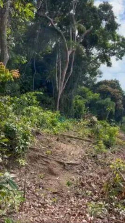 Terreno, 800 m² - Foto 1