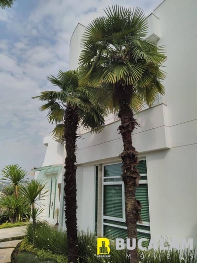 Casa, 5 quartos, 1100 m² - Foto 3