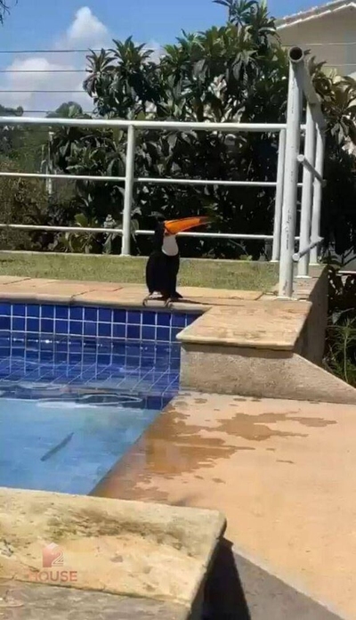 Casa de Condomínio, 4 quartos - Foto 5