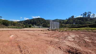 Terreno, 6 hectares - Foto 4