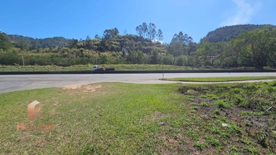 Terreno, 6 hectares - Foto 3