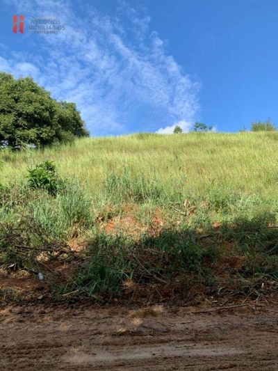 Terreno, 381 m² - Foto 3