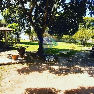 Chácara, 3 quartos, 3500 m² - Foto 3