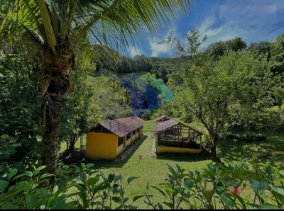 Casa, 5 quartos, 300 m² - Foto 3