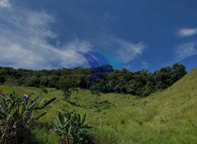 Sítio, 5 quartos, 132 m² - Foto 2