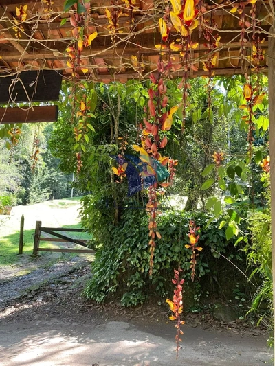 Casa, 4 quartos, 240 m² - Foto 5