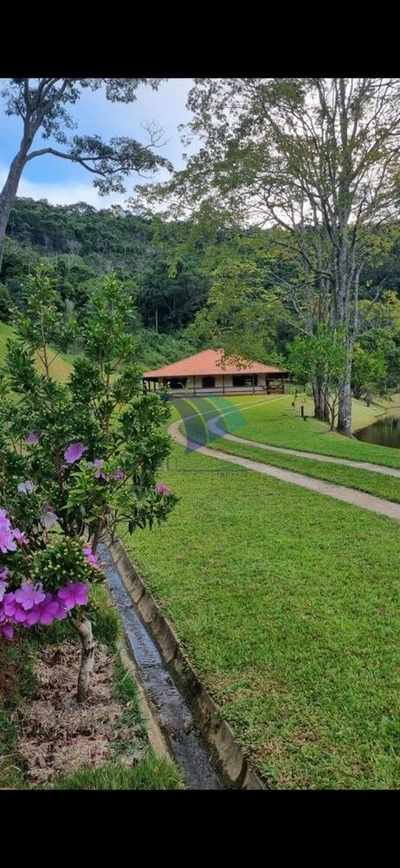 Casa, 4 quartos, 300 m² - Foto 1