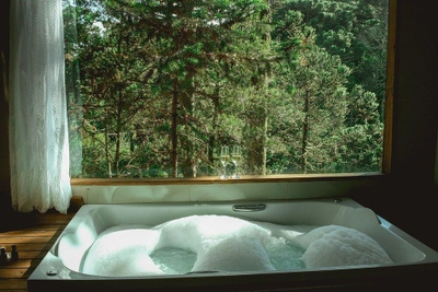 Terreno, 6 hectares - Foto 4