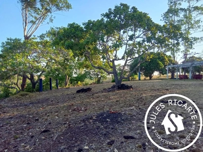 Chácara, 3 quartos, 39 hectares - Foto 5