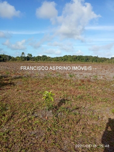 Sítio, 2 quartos - Foto 4