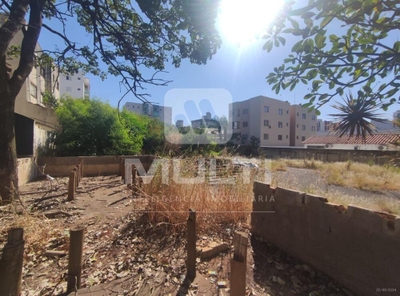 Terreno, 1572 m² - Foto 4