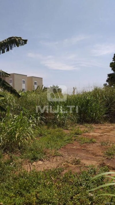 Chácara, 1 quarto - Foto 3