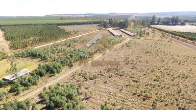 Terreno, 10 m² - Foto 3