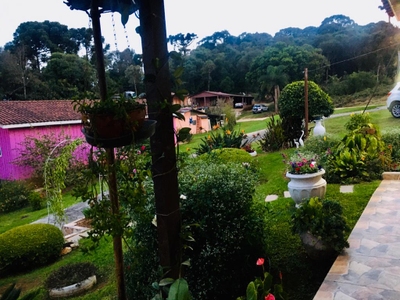 Terreno, 5000 m² - Foto 3