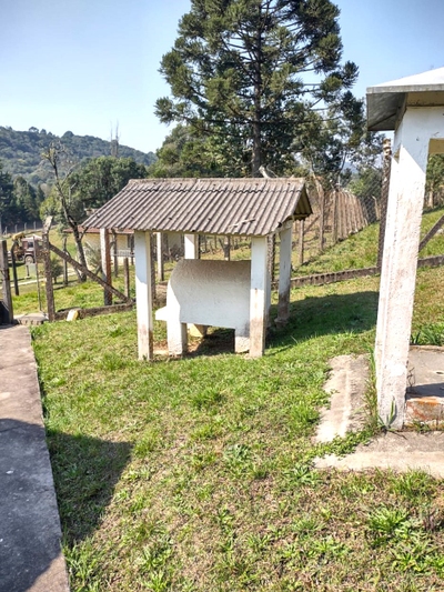 Chácara, 6 quartos, 1000 m² - Foto 4