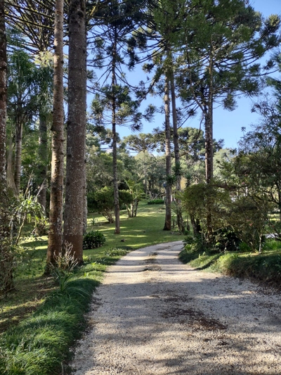 Chácara, 2 quartos, 250 m² - Foto 4