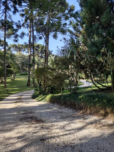 Chácara, 2 quartos, 250 m² - Foto 3